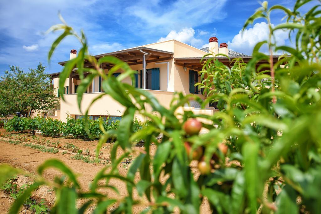 Naxos Cottage Kato Sangrion Ngoại thất bức ảnh