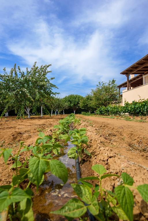 Naxos Cottage Kato Sangrion Ngoại thất bức ảnh